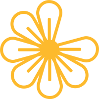 Flor-amarela Flor-amarela